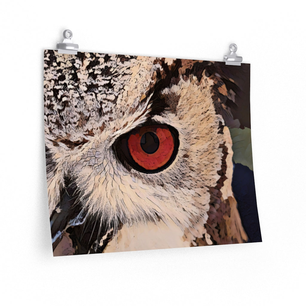 Owl Close Up Graphic Poster