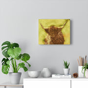 scottish cow graphic canvas wrap wall art
