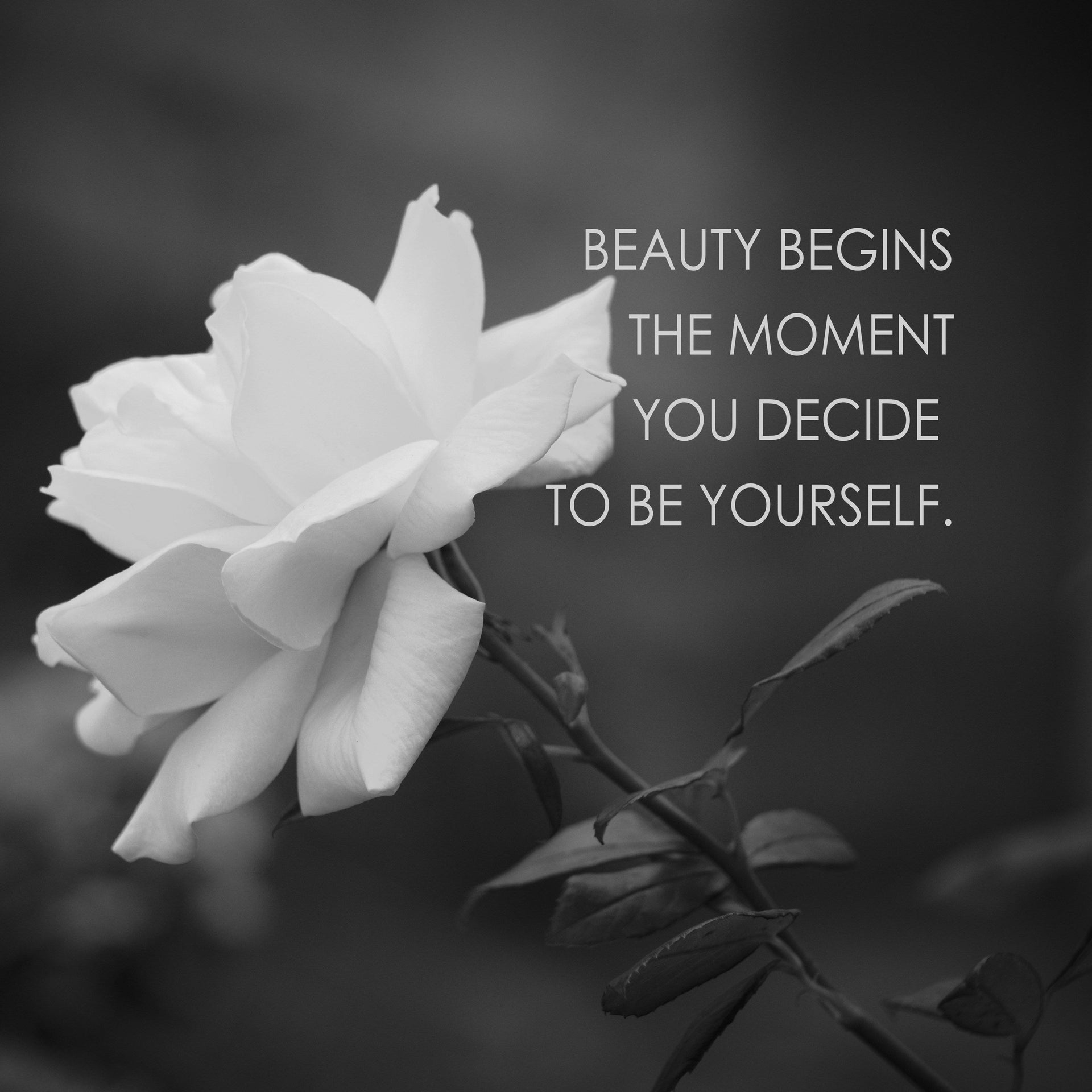 Your Beauty Begins Inspirational Poster