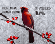 Cardinal Visitor from Heaven Poster